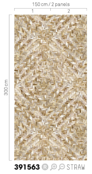 Papel Mural - Terra - 391563