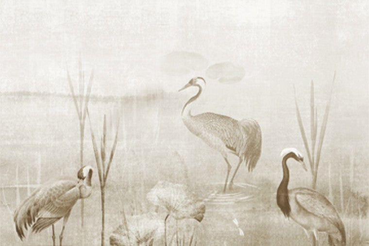 Waterside - DGIUM 1021