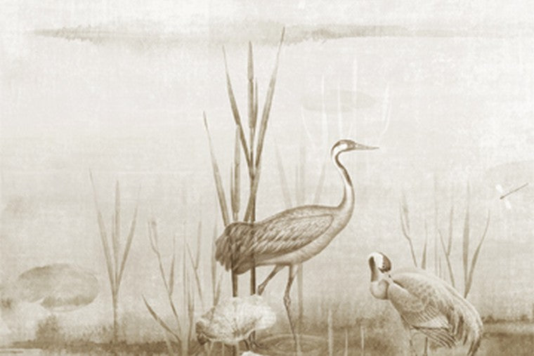 Waterside - DGIUM 1022