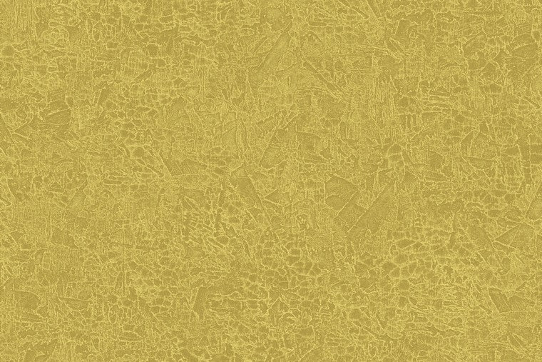 Papel Mural - Ramon - HAV 1003