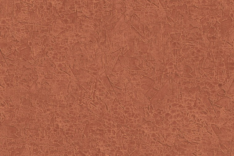 Papel Mural - Ramon - HAV 1004