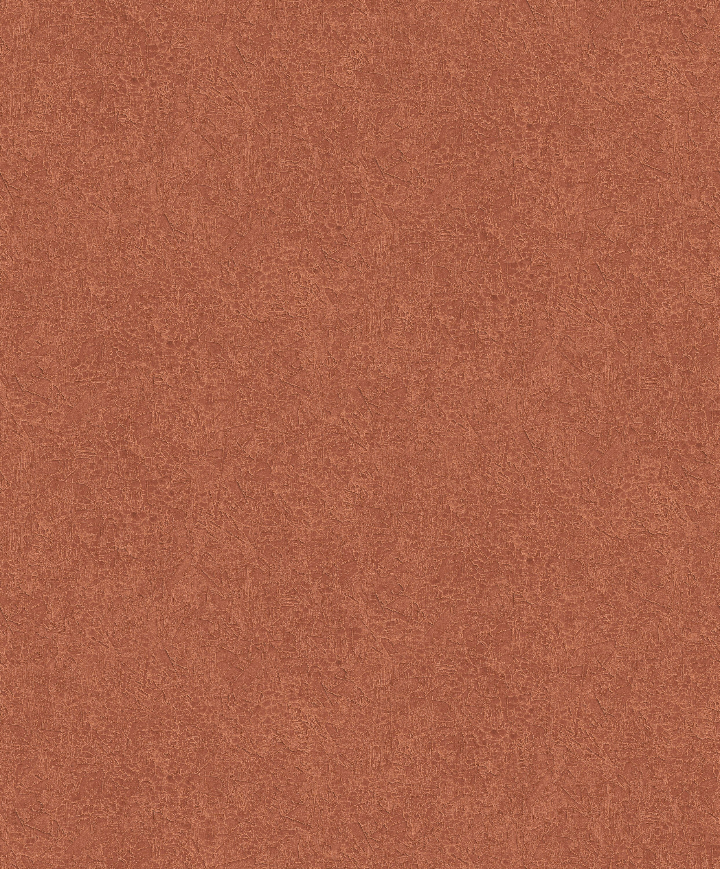 Papel Mural - Ramon - HAV 1004