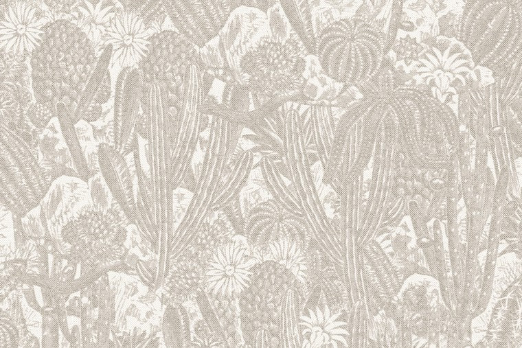 Papel Mural - Cactus - HAV 202