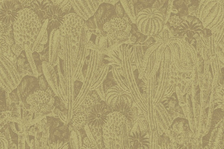 Papel Mural - Cactus - HAV 203