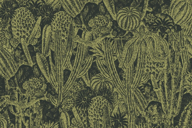 Papel Mural - Cactus - HAV 204