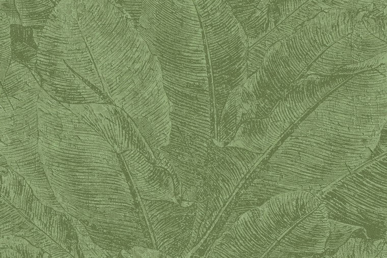 Papel Mural - Juan - HAV 302