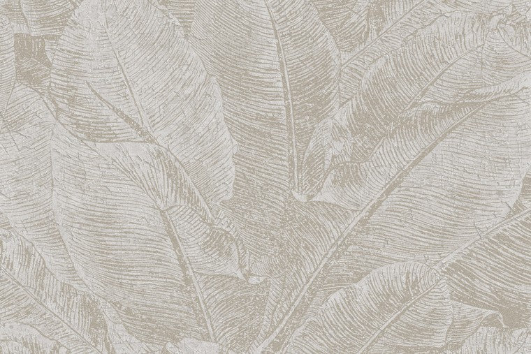 Papel Mural - Juan - HAV 303