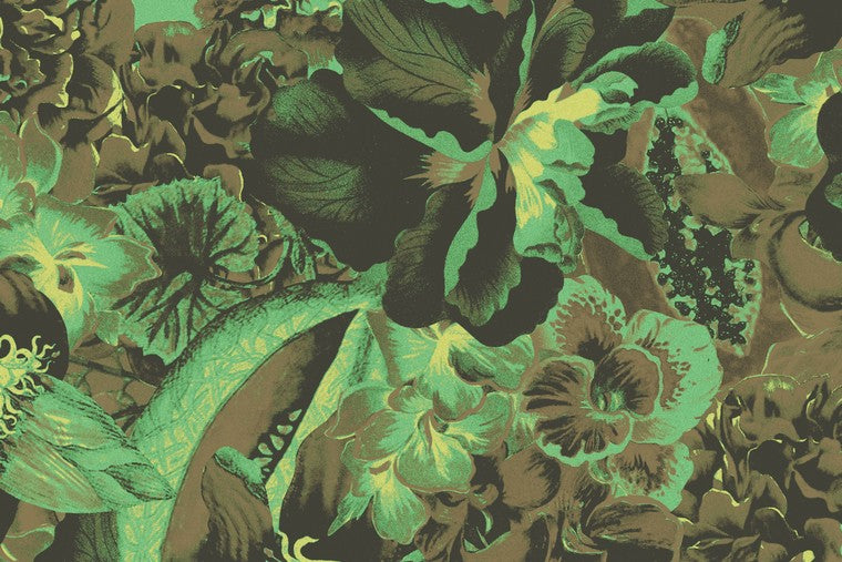 Papel Mural - Frida - HAV 901