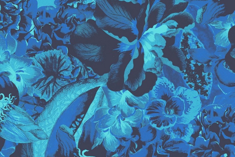 Papel Mural - Frida - HAV 902