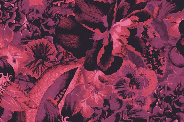 Papel Mural - Frida - HAV 903