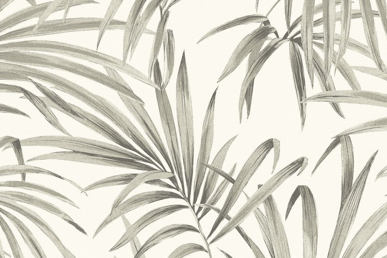 Papel Mural - Palm - LOT 101