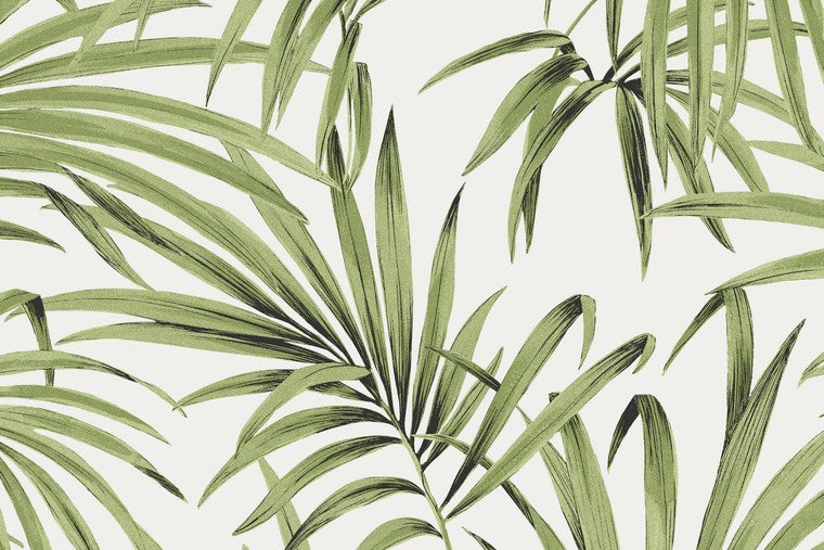 Papel Mural - Palm - LOT 103