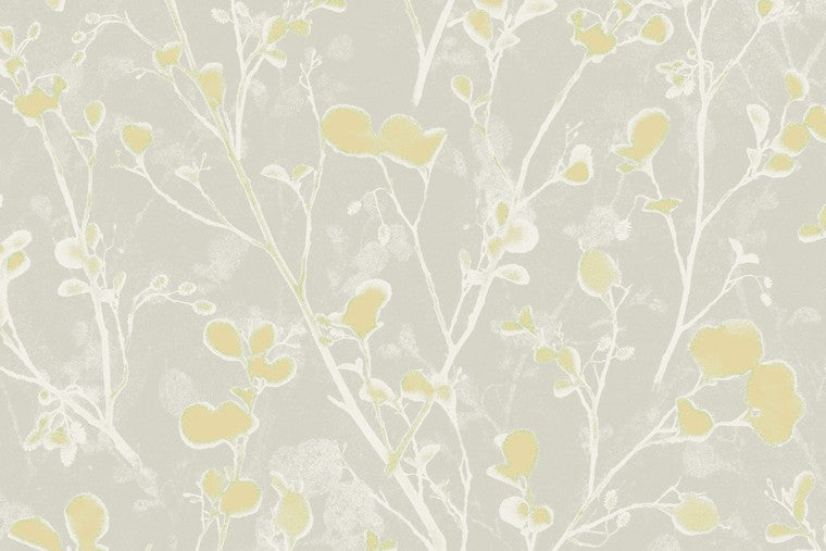 Papel Mural - Alder - LOT 402