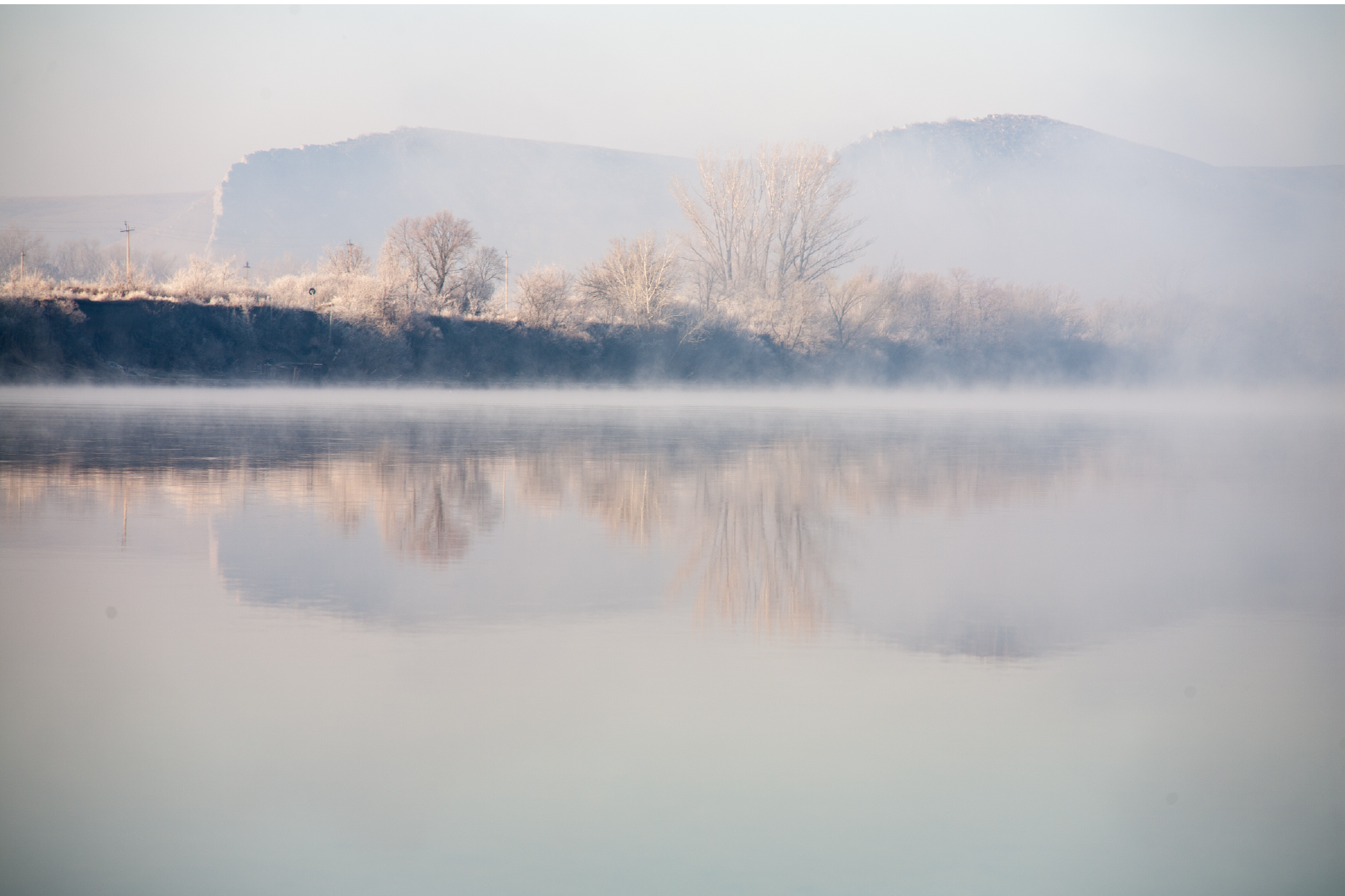 PAPEL MURAL - NATURE 04