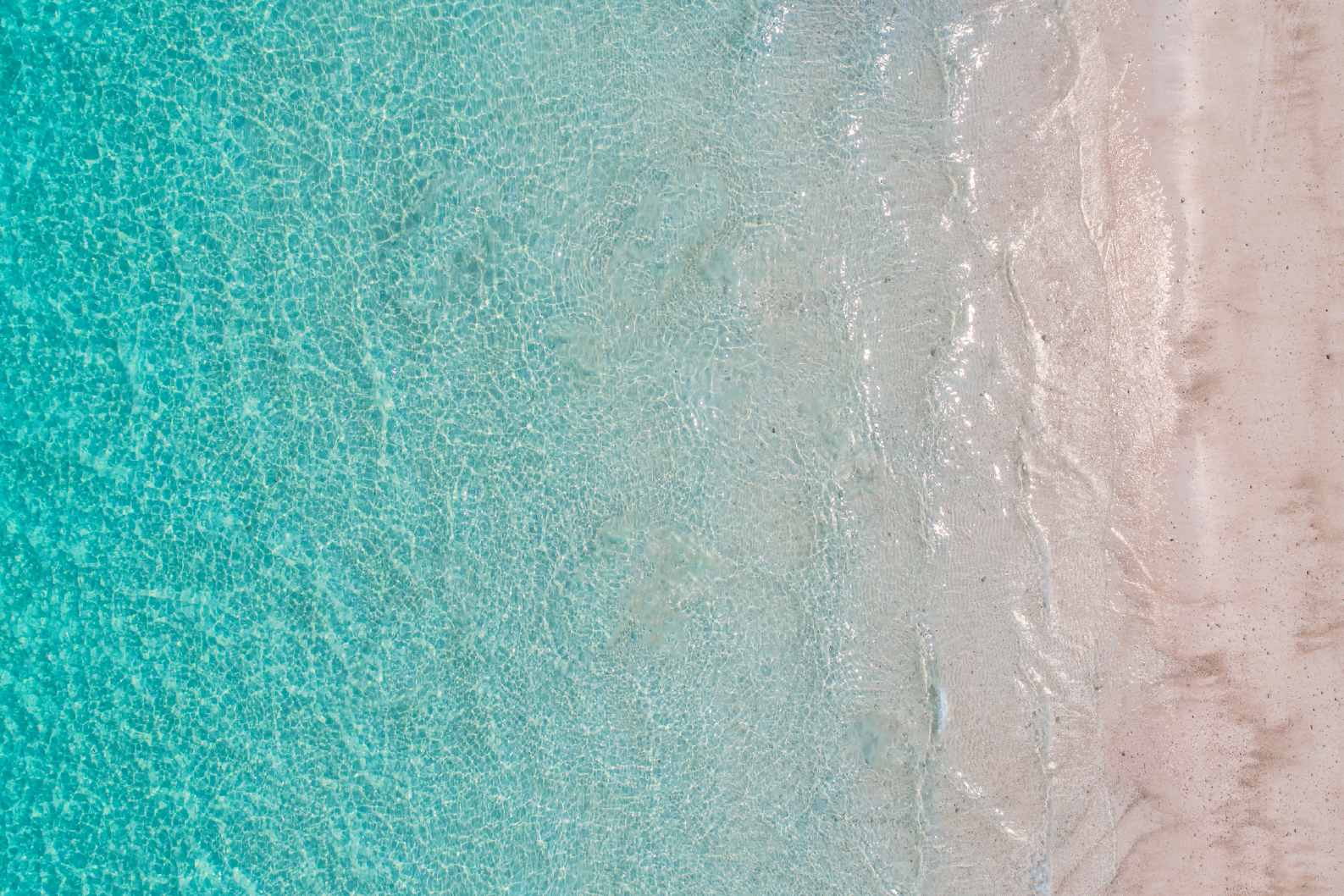 PAPEL MURAL - NATURE 07