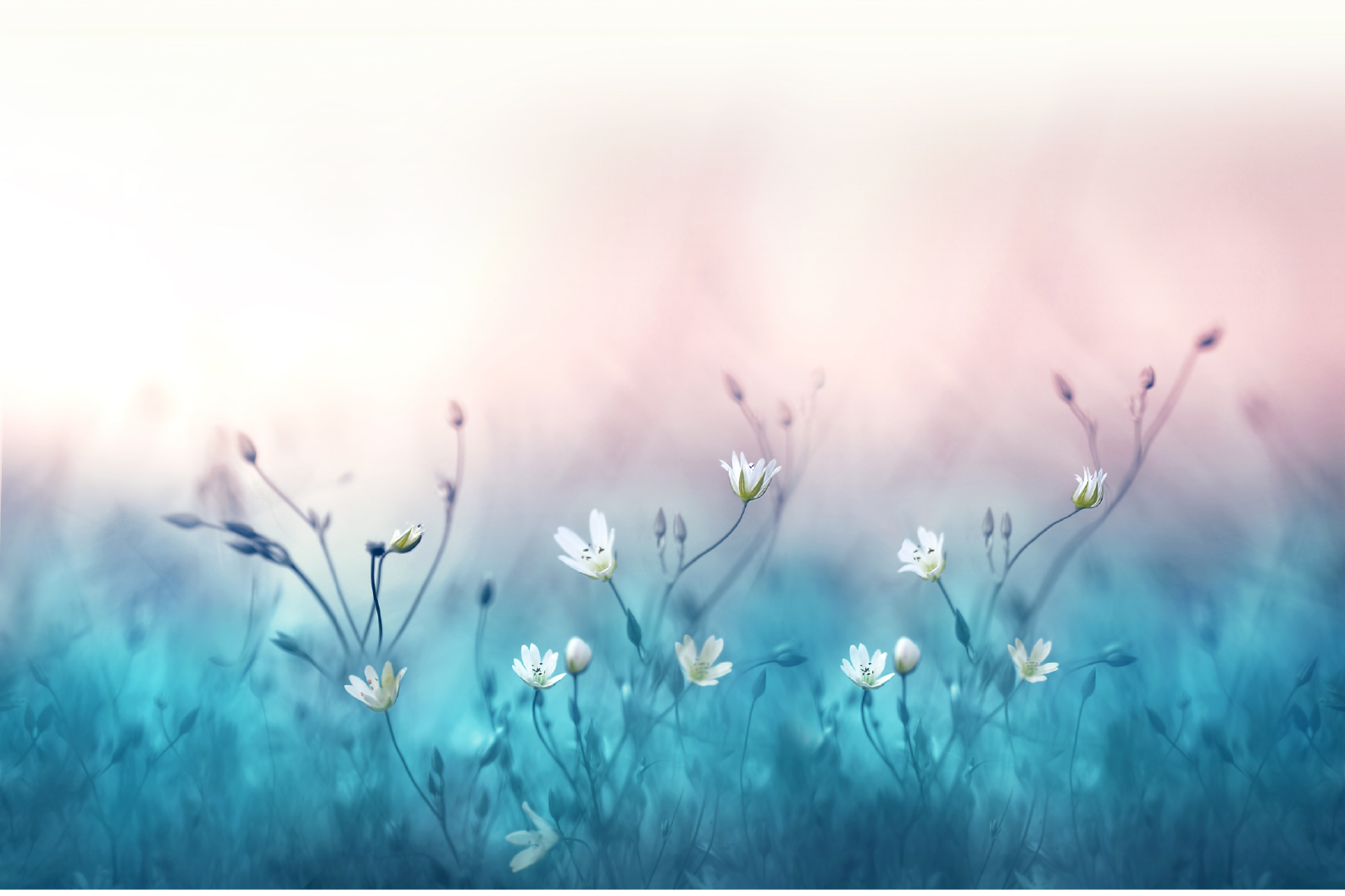 PAPEL MURAL - NATURE 08