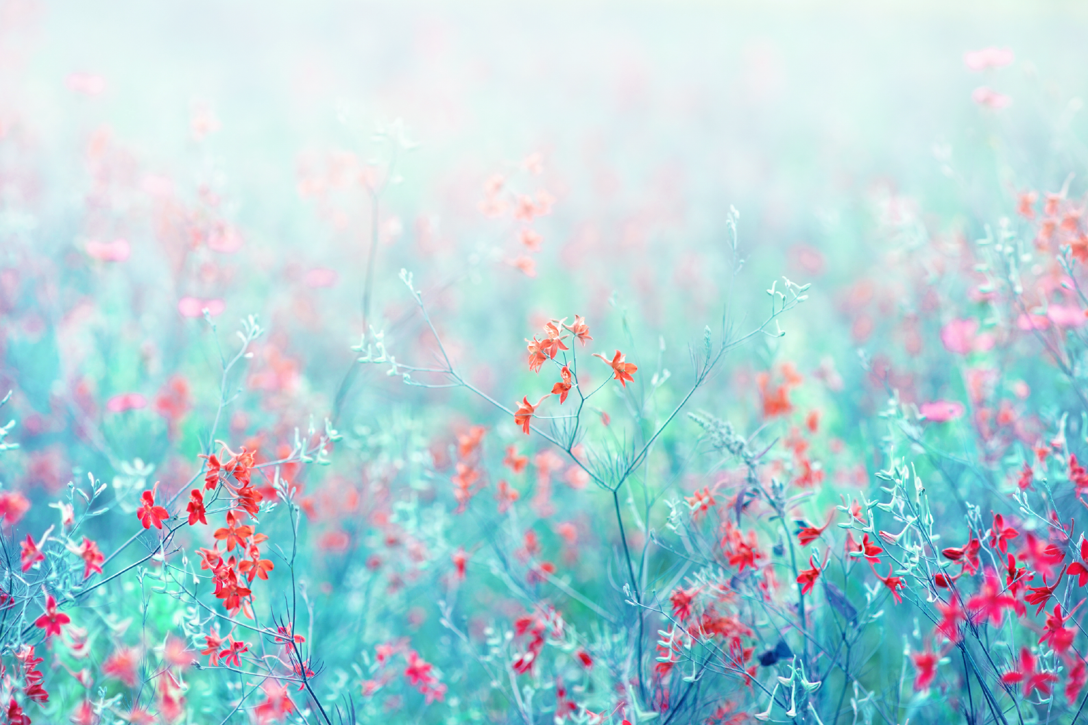 PAPEL MURAL - NATURE 09