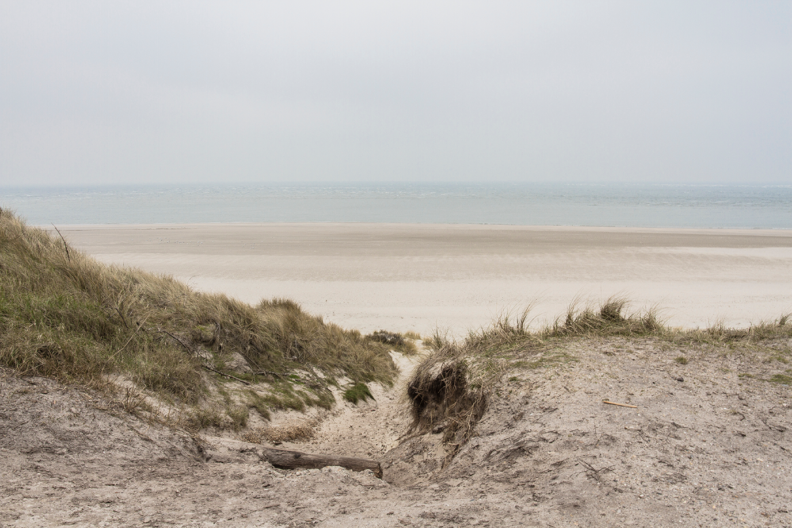 PAPEL MURAL - NATURE 16