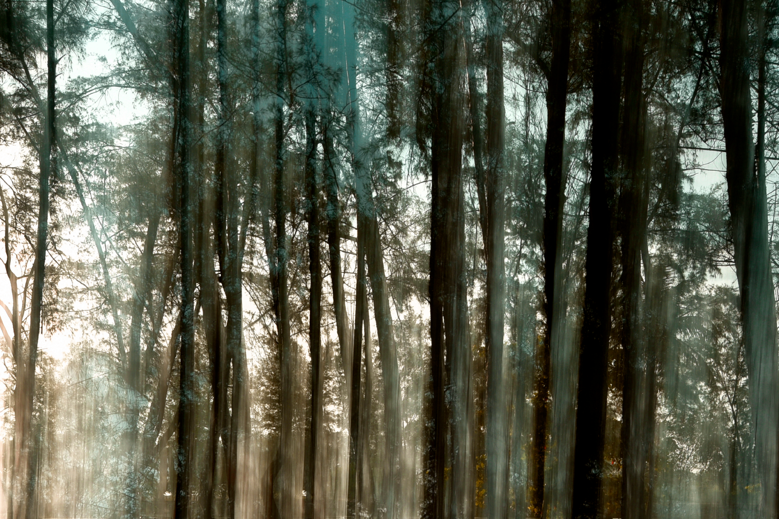 PAPEL MURAL - NATURE 31