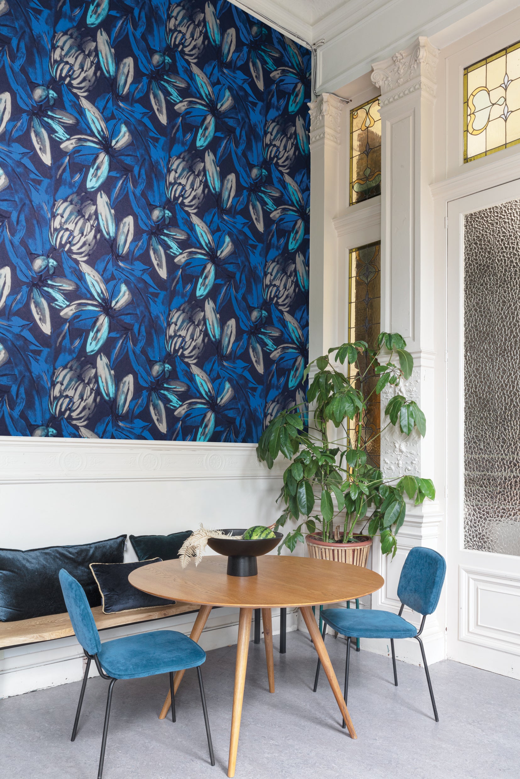Papel Mural - Constanza - HAV 103