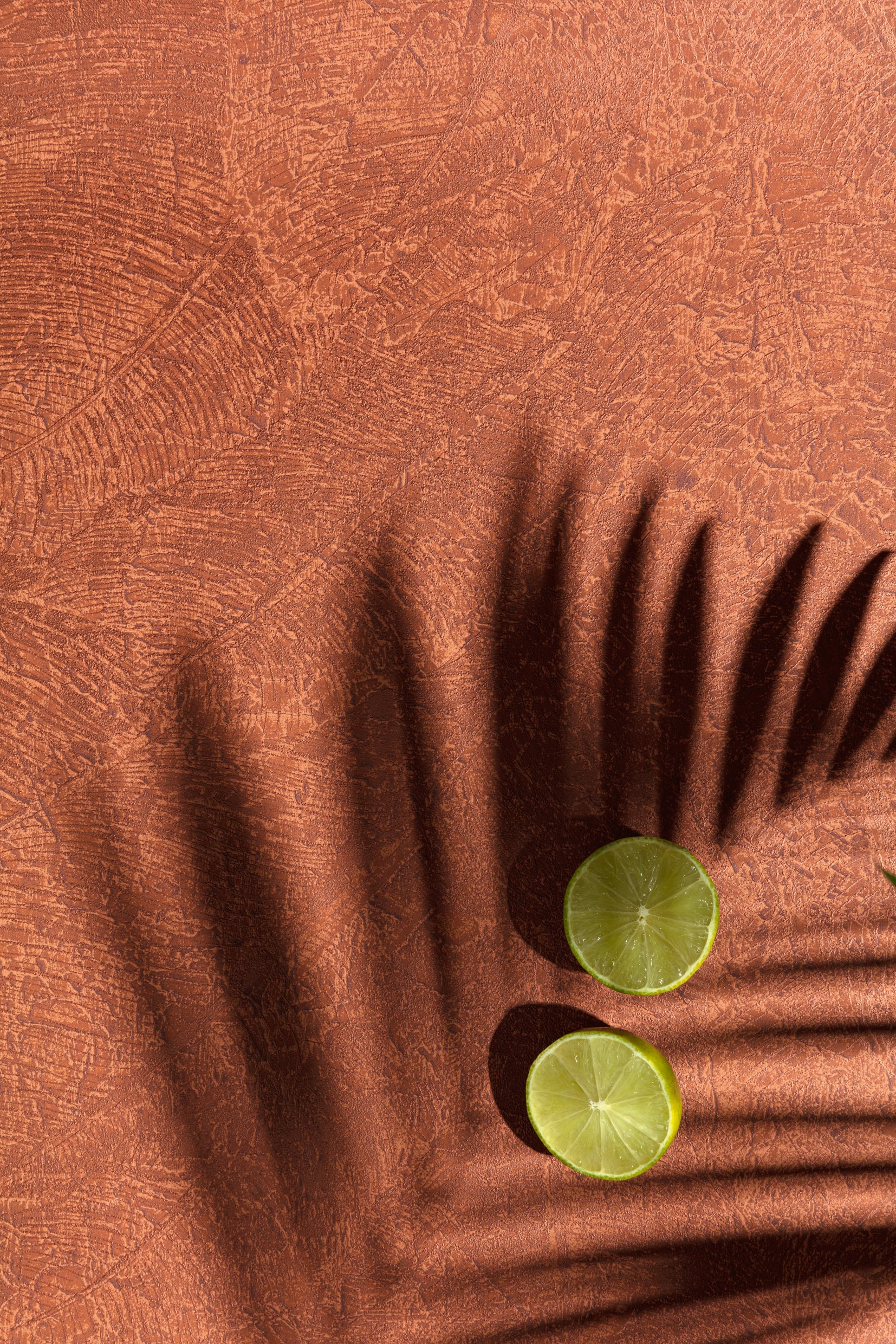 Papel Mural - Juan - HAV 301