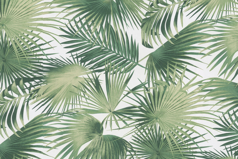 Papel Mural - Ratan - WIL 104