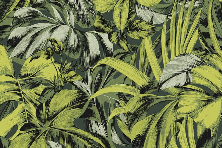 Papel Mural - Bonita - ZEN 102