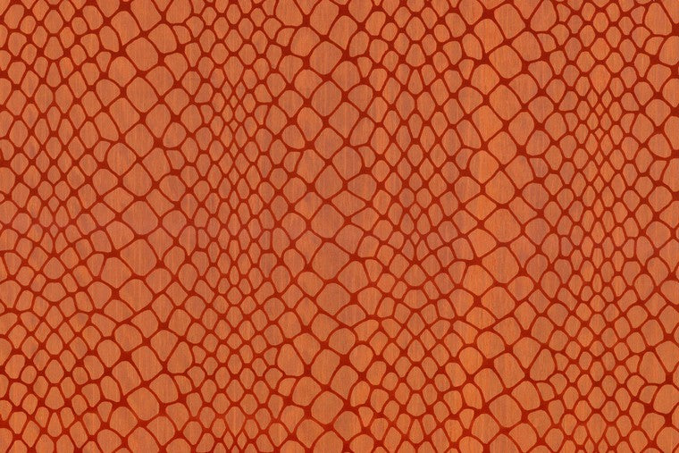 Maze - 23584