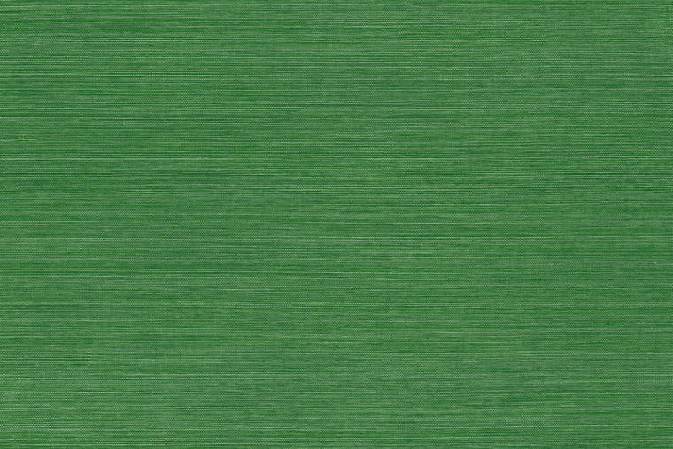 Papel Mural - Marsh - 31500