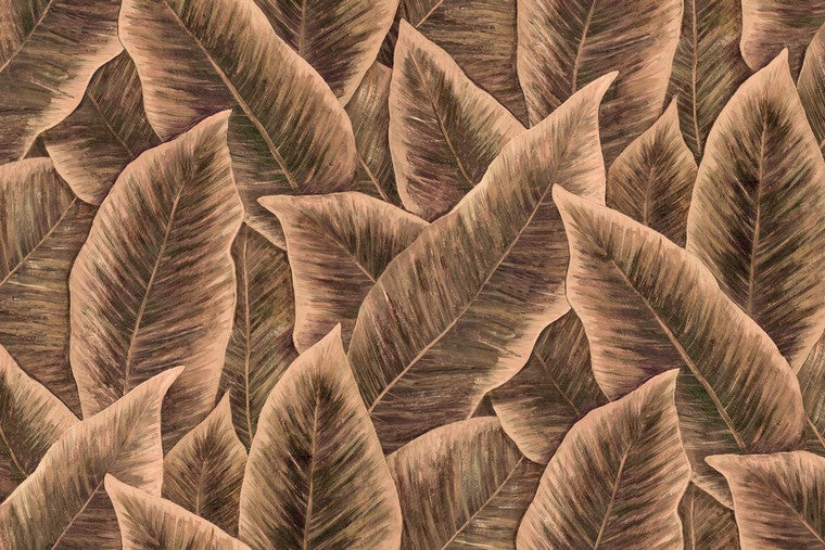 Papel Mural - Birds of Paradise - 97570