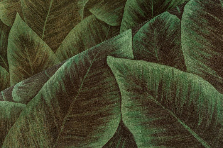 Papel Mural - Birds of Paradise - 97572