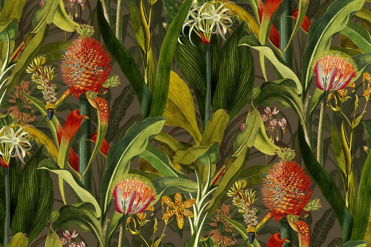 Papel Mural - Blooming Pineapple - 97601
