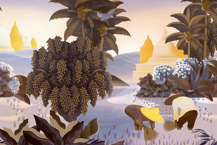 Papel Mural - Hills Of Sapa - 97590