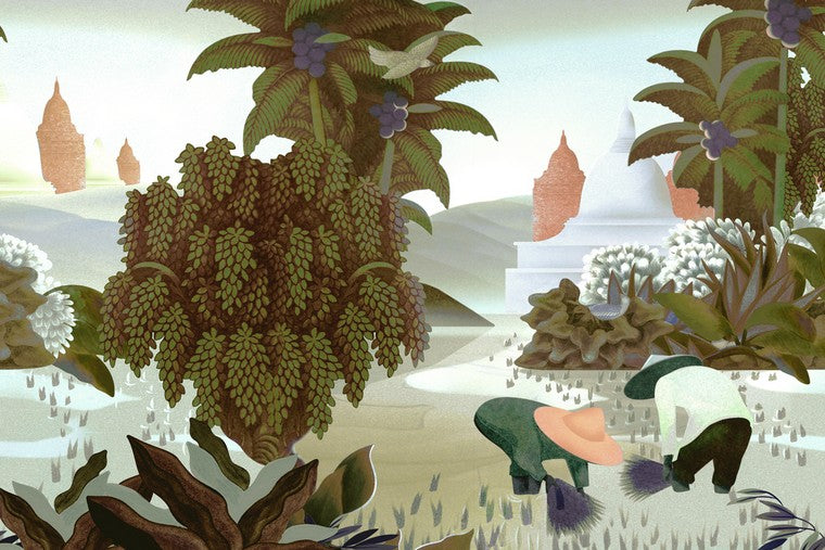 Papel Mural - Hills Of Sapa - 97591