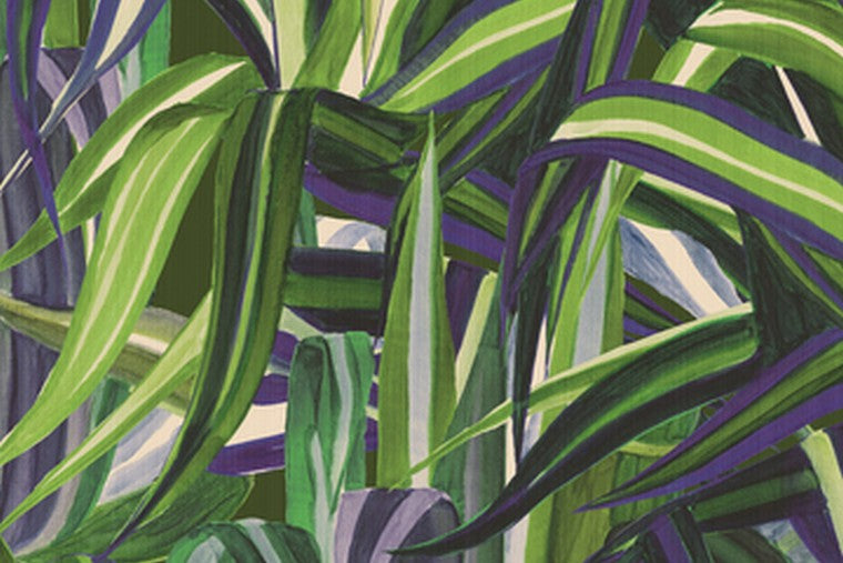Papel Mural - Java - 72012