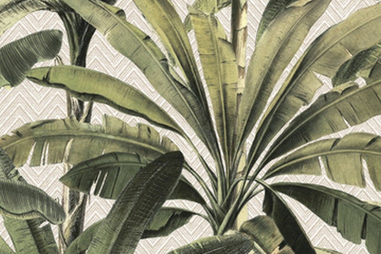 Papel Mural - Palmera - 11140
