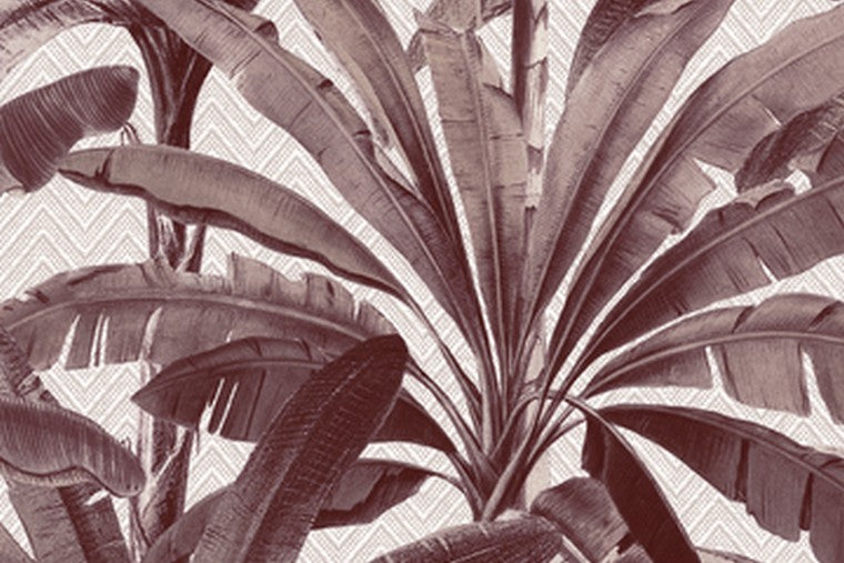 Papel Mural - Palmera - 11141