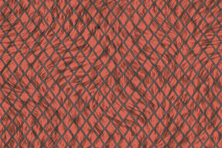 Papel Mural - Aristo Quagga - MO 2034