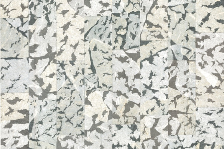 Papel Mural - Armoured Boar - MO 2111