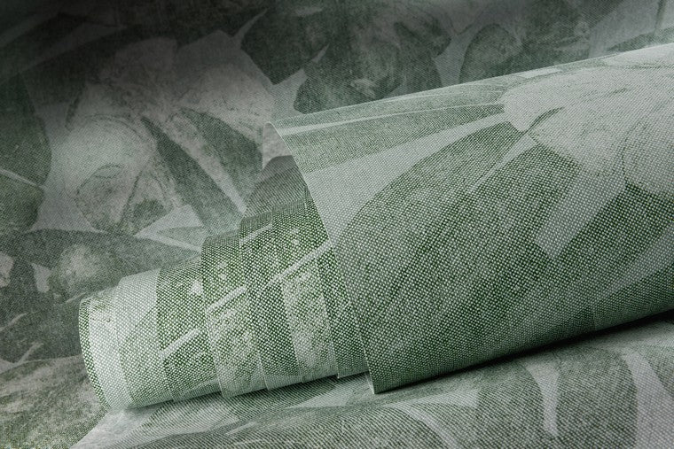 Papel Mural - Expédition - 80080