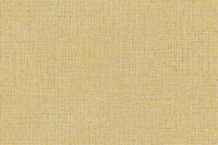 Papel Mural - Nongo - 49514