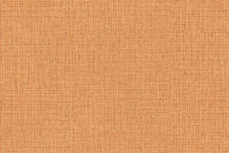 Nongo - 49518