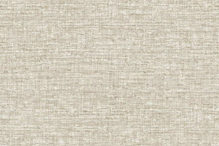 Papel Mural - Aspero - 40545A