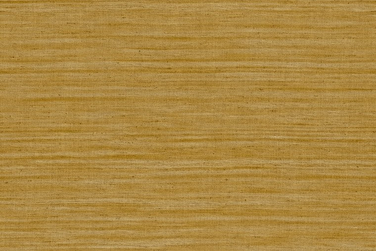 Lignes - 40501