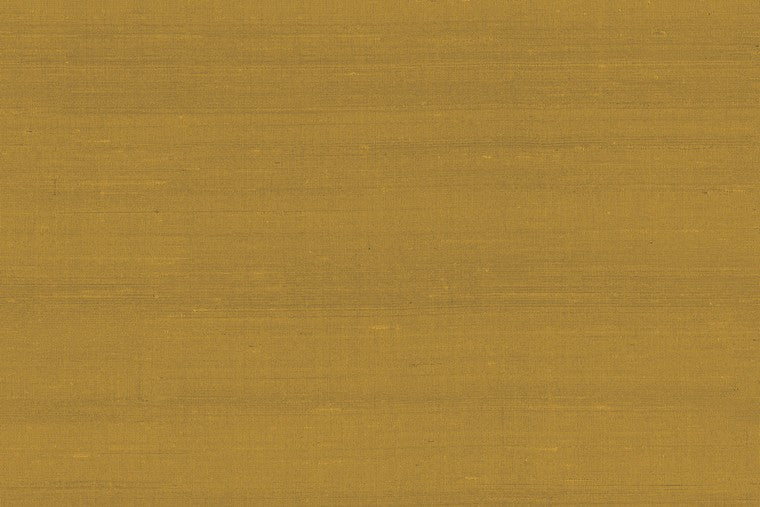 Latus - 50509
