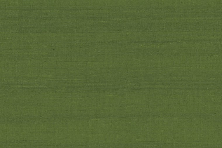 Latus - 50519