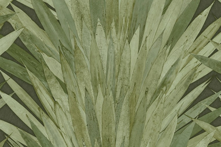 Papel Mural - Abanico - 34001