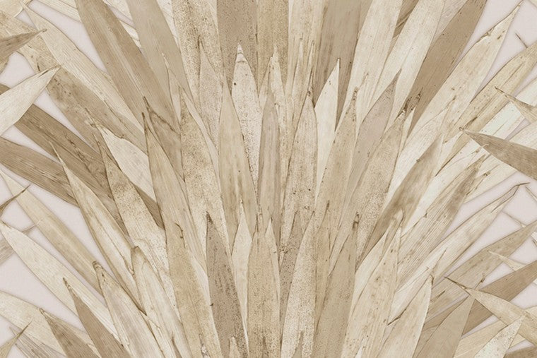 Papel Mural - Abanico - 34004