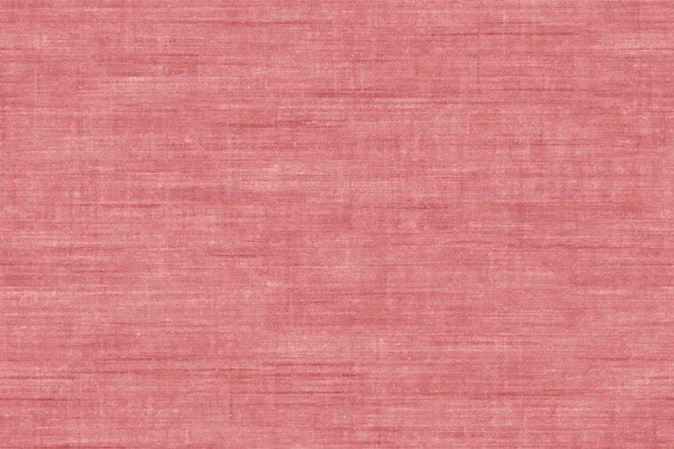 Canvas - 24502