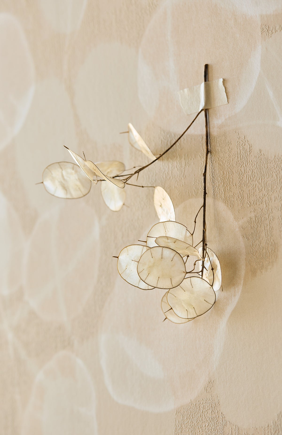 Papel Mural - Roots - 363330